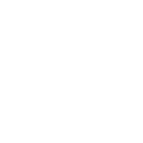 Berachain loader animation